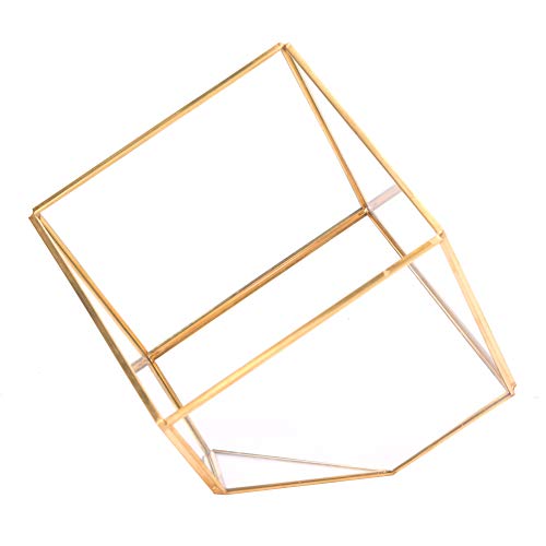 Glaspflanzer Geometrische Form Succulents Pflanzenbehälter Moderner Stil Elegante Heimtischation Gold Farbe 15,2 x 15,2 x 15,2 cm von Pilipane