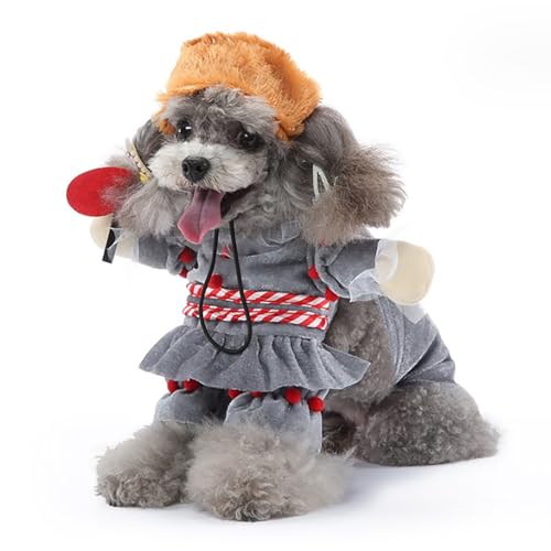 Haustier -Hund -Cosplay -Outfit weich bequem modisches Welpe Kostüm für Halloween Party kleine Hundekleidung Bichons Corgis Polyester Material (Lady XL) von Pilipane