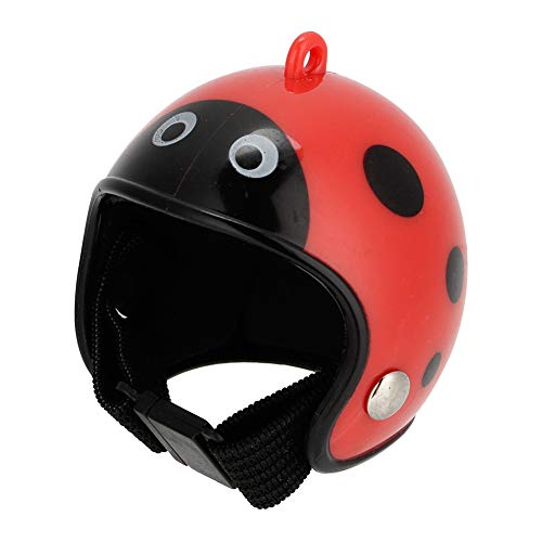 Hühnchenhelm lustiger Schutz Henne Huthut Vogel Sicherheit Huthuber Hühnchen Accessoire aus hochwertigem PP Strong und langlebig für Haushuhner Vier Stile verfügbar Flamme Black 8 (Marienkäfer) von Pilipane