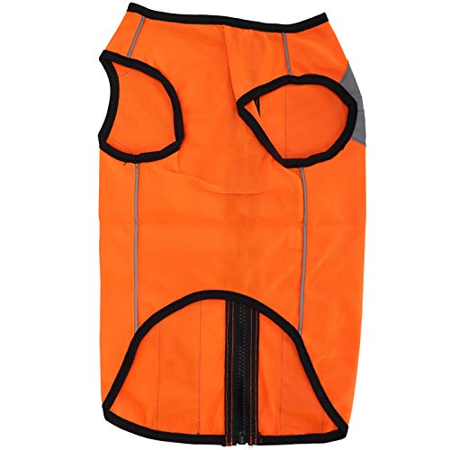 Pet Night Safety Clothing Glühe Jacke Leicht reflektierende Weste Reißverschluss für Hunde Outdoor -Abenteuer Polyester und Baumwollmaterial Gezeigt (L) von Pilipane