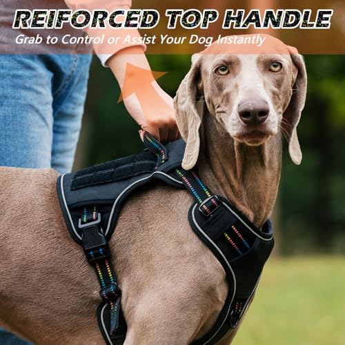 Taktische Hundegreiftgurt Verstellbare reflektierende Hundeweste mit Griff verstärkte Haustierweste Anti -Pull -Vorderclip für Ausflugtraining Medium große Hunde Schwarz Nylon (M) von Pilipane