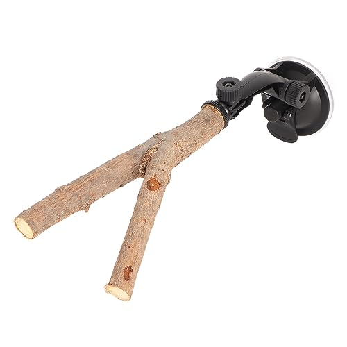 Vogelzweig-Sitzstangenständer, Training, interaktiv, verhindert Rutschen, hölzerne Papageienstange mit Saugnäpfen für kleine und mittelgroße Vögel (Combicalz3i-11) von Pilipane