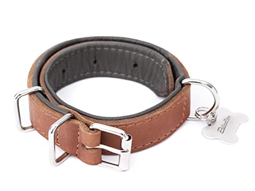 Hundehalsband Leder, Halsband, Leder, Lederhalsband Hund, Metallschnalle, 55 x 2.5 cm, Hell Braun von PillowPrim