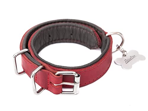 Hundehalsband Leder, Halsband, Leder, Lederhalsband Hund, Metallschnalle, 55 x 2.5 cm, Rot von PillowPrim