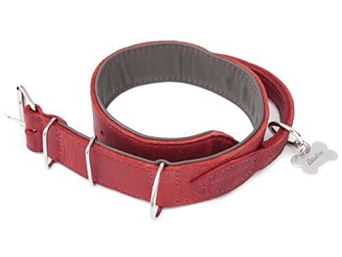 Hundehalsband Leder, Halsband, Leder, Lederhalsband Hund, Metallschnalle, 60 cm+Klammer, Rot von PillowPrim