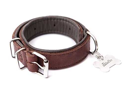 Hundehalsband Leder, Halsband, Leder, Lederhalsband Hund, Metallschnalle, 60 x 3 cm, Braun von PillowPrim