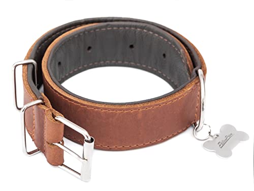 Hundehalsband Leder, Halsband, Leder, Lederhalsband Hund, Metallschnalle, 65 x 4 cm, Hell Braun Hundehalsband Leder, Halsband, Leder, Lederhalsband Hund, Metallschnalle, 65 x 4 cm, Hell Braun von PillowPrim