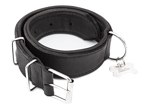 Hundehalsband Leder, Halsband, Leder, Lederhalsband Hund, Metallschnalle, 65 x 4 cm, Schwarz von PillowPrim
