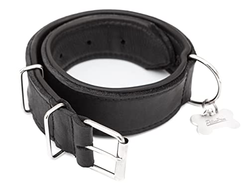 Hundehalsband Leder, Halsband, Leder, Lederhalsband Hund, Metallschnalle, 65 x 4 cm, Schwarz Hundehalsband Leder, Halsband, Leder, Lederhalsband Hund, Metallschnalle, 65 x 4 cm, Schwarz von PillowPrim