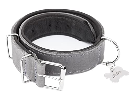 Hundehalsband Leder, Halsband, Leder, Lederhalsband Hund, Metallschnalle, 70 x 4 cm, Asche von PillowPrim