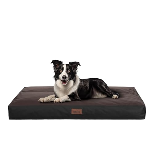 Hundekissen flauschig Hundematte - Waschbar Hundekissen flauschig - Haustierbett Hundematratze – für mittelgroße Hunde - M 70x50 cm - Hundebett, Hundekissen, Haustierbett - Dunkelbraun Oxford Hundekissen flauschig Hundematte - Waschbar Hundekissen flauschig - Haustierbett Hundematratze – für mittelgroße Hunde - M 70x50 cm - Hundebett, Hundekissen, Haustierbett - Dunkelbraun Oxford von PillowPrim