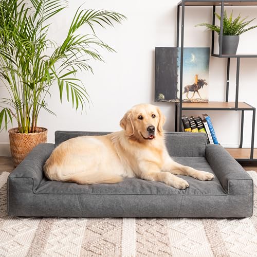 PillowPrim Hundebett, Haustiermatratze, Katzenbett, Hundekissen, Hundekorb, Hundesofa, Liegeplatz für Hund, Orthopädische, Asche, 55 cm, Anthrazite, 98x66 cm PillowPrim Hundebett, Haustiermatratze, Katzenbett, Hundekissen, Hundekorb, Hundesofa, Liegeplatz für Hund, Orthopädische, Asche, 55 cm, Anthrazite, 98x66 cm von PillowPrim