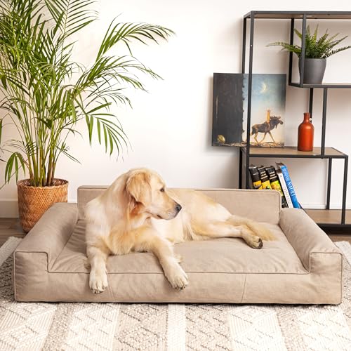 PillowPrim Hundebett, Haustiermatratze, Katzenbett, Hundekissen, Hundekorb, Hundesofa, Liegeplatz für Hund, Orthopädische, Asche, 55 cm, Beige, 116x78 cm PillowPrim Hundebett, Haustiermatratze, Katzenbett, Hundekissen, Hundekorb, Hundesofa, Liegeplatz für Hund, Orthopädische, Asche, 55 cm, Beige, 116x78 cm von PillowPrim