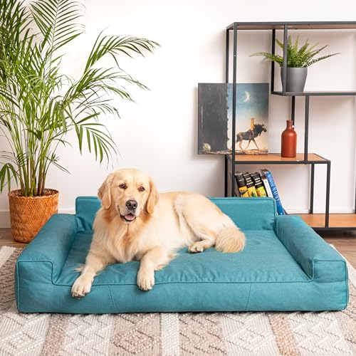 PillowPrim Hundebett, Haustiermatratze, Katzenbett, Hundekissen, Hundekorb, Hundesofa, Liegeplatz für Hund, Orthopädische, Asche, 55 cm, Blau, 116x78 cm PillowPrim Hundebett, Haustiermatratze, Katzenbett, Hundekissen, Hundekorb, Hundesofa, Liegeplatz für Hund, Orthopädische, Asche, 55 cm, Blau, 116x78 cm von PillowPrim
