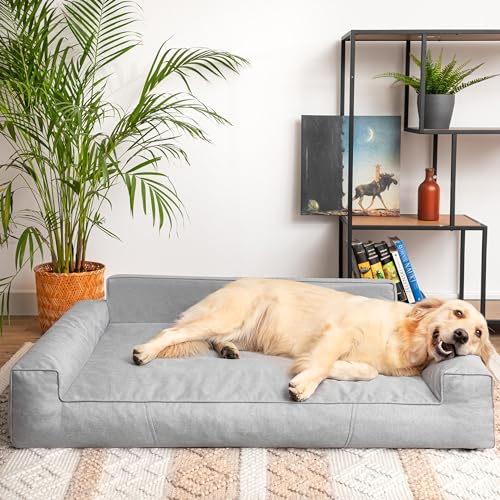PillowPrim Hundebett, Haustiermatratze, Katzenbett, Hundekissen, Hundekorb, Hundesofa, Liegeplatz für Hund, Orthopädische, Asche, 55 cm, Grau, 78x53 cm PillowPrim Hundebett, Haustiermatratze, Katzenbett, Hundekissen, Hundekorb, Hundesofa, Liegeplatz für Hund, Orthopädische, Asche, 55 cm, Grau, 78x53 cm von PillowPrim