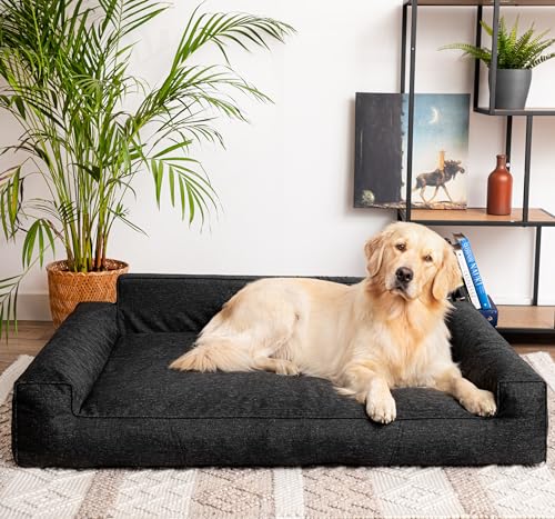 PillowPrim Hundebett, Haustiermatratze, Katzenbett, Hundekissen, Hundekorb, Hundesofa, Liegeplatz für Hund, Orthopädische, Asche, 55 cm, Schwarz, 78x53 cm PillowPrim Hundebett, Haustiermatratze, Katzenbett, Hundekissen, Hundekorb, Hundesofa, Liegeplatz für Hund, Orthopädische, Asche, 55 cm, Schwarz, 78x53 cm von PillowPrim