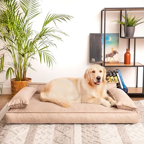 PillowPrim Hundebett, Haustiermatratze, Katzenbett, Hundekissen, Hundekorb, Hundesofa, Liegeplatz für Hund, Orthopädische, Möbel, 78x54 cm, Beige PillowPrim Hundebett, Haustiermatratze, Katzenbett, Hundekissen, Hundekorb, Hundesofa, Liegeplatz für Hund, Orthopädische, Möbel, 78x54 cm, Beige von PillowPrim