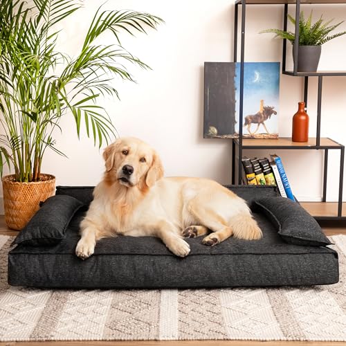 PillowPrim Hundebett, Haustiermatratze, Katzenbett, Hundekissen, Hundekorb, Hundesofa, Liegeplatz für Hund, Orthopädische, Möbel, Schwarz, 99x66 cm PillowPrim Hundebett, Haustiermatratze, Katzenbett, Hundekissen, Hundekorb, Hundesofa, Liegeplatz für Hund, Orthopädische, Möbel, Schwarz, 99x66 cm von PillowPrim