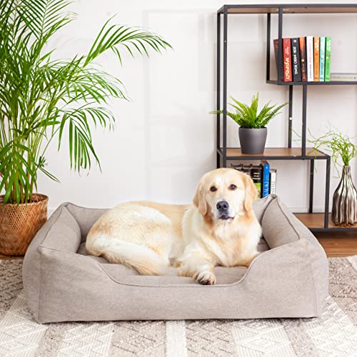 PillowPrim Hundebett, Möbel für Tiere, Katzenbett, Abnehmbar Bezug, Hundeliege, Schlafplätze, große Hunde, Hundesofa, Korb, Waschbar, Beige, L: 65x50 cm PillowPrim Hundebett, Möbel für Tiere, Katzenbett, Abnehmbar Bezug, Hundeliege, Schlafplätze, große Hunde, Hundesofa, Korb, Waschbar, Beige, L: 65x50 cm von PillowPrim