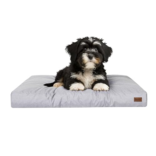 PillowPrim Hundebett, rechteckige Form, Haustiermatratze, Katzenbett, Hundekissen, Korb, Hundesofa, Liegeplatz, Gesteppt, Kissen, für kleine Hunde, Asche PillowPrim Hundebett, rechteckige Form, Haustiermatratze, Katzenbett, Hundekissen, Korb, Hundesofa, Liegeplatz, Gesteppt, Kissen, für kleine Hunde, Asche von PillowPrim