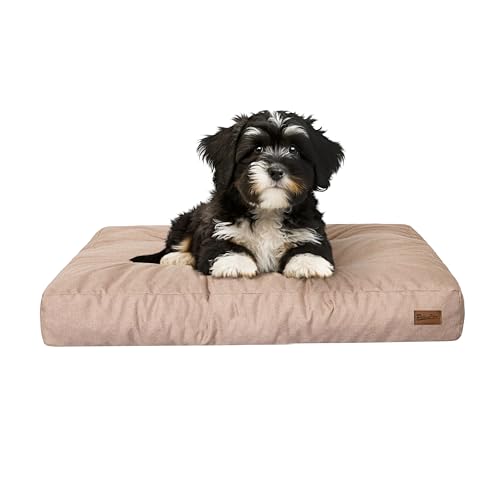 PillowPrim Hundebett, rechteckige Form, Haustiermatratze, Katzenbett, Hundekissen, Korb, Hundesofa, Liegeplatz, Gesteppt, Kissen, für kleine Hunde, Beige PillowPrim Hundebett, rechteckige Form, Haustiermatratze, Katzenbett, Hundekissen, Korb, Hundesofa, Liegeplatz, Gesteppt, Kissen, für kleine Hunde, Beige von PillowPrim
