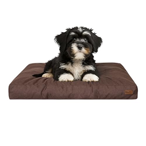 PillowPrim Hundebett, rechteckige Form, Haustiermatratze, Katzenbett, Hundekissen, Korb, Hundesofa, Liegeplatz, Gesteppt, Kissen, für kleine Hunde, Braun PillowPrim Hundebett, rechteckige Form, Haustiermatratze, Katzenbett, Hundekissen, Korb, Hundesofa, Liegeplatz, Gesteppt, Kissen, für kleine Hunde, Braun von PillowPrim