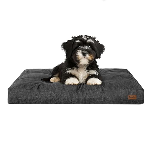 PillowPrim Hundebett, rechteckige Form, Haustiermatratze, Katzenbett, Hundekissen, Korb, Hundesofa, Liegeplatz, Gesteppt, Kissen, für kleine Hunde, Schwarz PillowPrim Hundebett, rechteckige Form, Haustiermatratze, Katzenbett, Hundekissen, Korb, Hundesofa, Liegeplatz, Gesteppt, Kissen, für kleine Hunde, Schwarz von PillowPrim