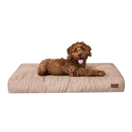 PillowPrim Hundebett, rechteckige Form, Haustiermatratze, Katzenbett, Hundekissen, Korb, Hundesofa, Liegeplatz, Gesteppt, Kissen, für mittelgroße Hunde, Beige PillowPrim Hundebett, rechteckige Form, Haustiermatratze, Katzenbett, Hundekissen, Korb, Hundesofa, Liegeplatz, Gesteppt, Kissen, für mittelgroße Hunde, Beige von PillowPrim