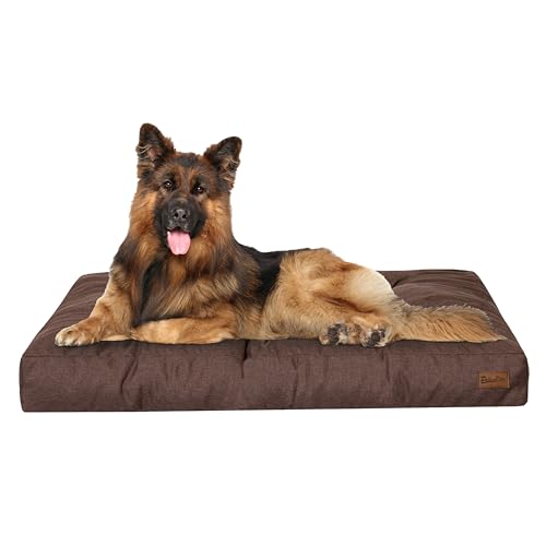 PillowPrim Hundebett, rechteckige Form, Haustiermatratze, Katzenbett, Hundekissen, Korb, Hundesofa, Liegeplatz, Gesteppt, Kissen, für mittelgroße Hunde, Braun PillowPrim Hundebett, rechteckige Form, Haustiermatratze, Katzenbett, Hundekissen, Korb, Hundesofa, Liegeplatz, Gesteppt, Kissen, für mittelgroße Hunde, Braun von PillowPrim