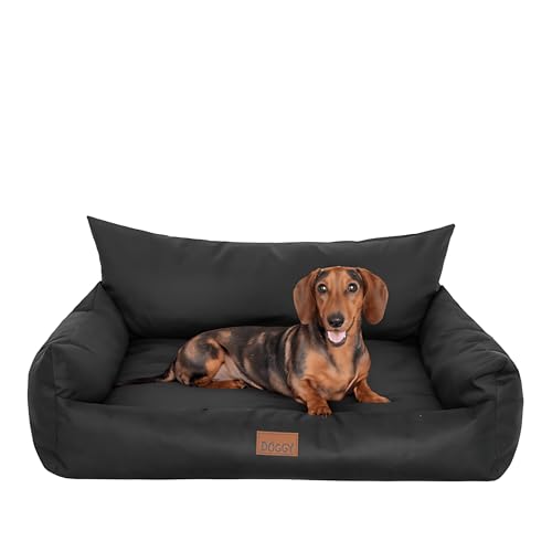PillowPrim Hundebett - Möbel für Tiere, Katzenbett - Hundekorb für kleine mittelgroße & große Hunde - Hundekissen – Hundesofa – Hundeliege – Schlafplätze - 63x48 cm - Schwarz PillowPrim Hundebett - Möbel für Tiere, Katzenbett - Hundekorb für kleine mittelgroße & große Hunde - Hundekissen – Hundesofa – Hundeliege – Schlafplätze - 63x48 cm - Schwarz von PillowPrim