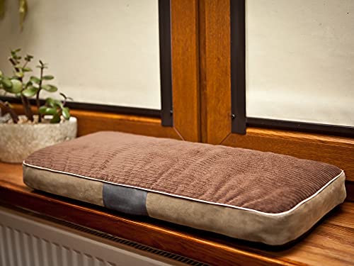 PillowPrim Katzenbett Katzensofa Liegen Katzenkissen Sofa Katzenkorb Bett Katzencouch Tierbett Weich Haustierbett Katzenliegen Kissen 60 x 25 cm PillowPrim Katzenbett Katzensofa Liegen Katzenkissen Sofa Katzenkorb Bett Katzencouch Tierbett Weich Haustierbett Katzenliegen Kissen 60 x 25 cm von PillowPrim