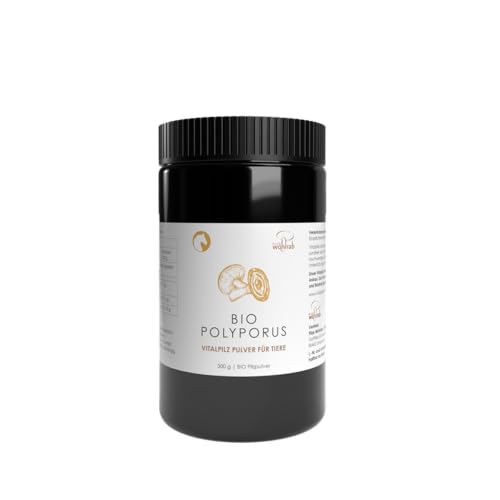 Pilze Wohlrab - Bio Polyporus Pulver für Tiere - 300 g - Eichhase Vitalpilze Pulver mikrofein - Höchste Bio-Qualität Pilze Wohlrab - Bio Polyporus Pulver für Tiere - 300 g - Eichhase Vitalpilze Pulver mikrofein - Höchste Bio-Qualität von Pilze Wohlrab
