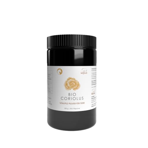 Pilze Wohlrab | Coriolus versicolor Pulver Bio für Tiere | 300 g | Mikrofeines Coriolus Pulver | Vitalpilze | Dosierung für Tiere | Höchste Bio-Qualität Pilze Wohlrab | Coriolus versicolor Pulver Bio für Tiere | 300 g | Mikrofeines Coriolus Pulver | Vitalpilze | Dosierung für Tiere | Höchste Bio-Qualität von Pilze Wohlrab