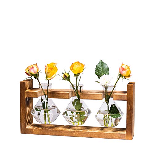Pimaja Pflanzen-Terrarium mit Holzständer, 3 Mauerwerk-Vasen, Übertopf, Glasvase für Hydrokultur, Zuhause, Garten, Büro, Dekoration von Pimaja