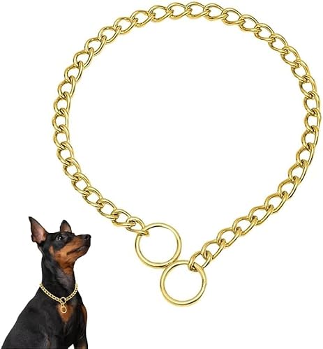 Hundehalsband, Metall, Choke-Glieder-Hundehalsband, Choker, Training, strapazierfähig, Martingale-Welpenhalsband für XS, S, M, L, XL (Gold, L (Halsumfang max. 50,8 cm), Durchmesser 3,5 mm von Pimaodog