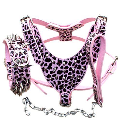 Pimaodog Hundegeschirr, Halsband und Leinen, Leder, 3-teiliges Set für mittelgroße und große Hunde, Pit Bull, Mastiff, Boxer, Bullterrier (Spikes, Leopard, M) von Pimaodog