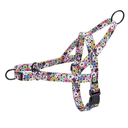 Pimaodog Hundegeschirr ohne Ziehen, Blumenmuster für Damen, Sicherheits-Nylon-Trainingshalsband für kleine, mittelgroße und große Hunde (S, Feuerwerk) von Pimaodog