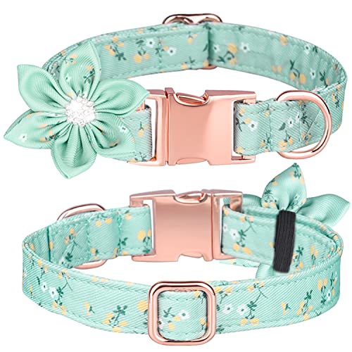 Pimaodog Hundehalsband, Mädchen-Hundehalsband, Welpenhalsband, Blumenmuster, Hundehalsband, niedliches Hundehalsband mit abnehmbarer Strass-Blume für Hündinnen, klein, mittel, groß (S: 26–42 cm, grün) Pimaodog Hundehalsband, Mädchen-Hundehalsband, Welpenhalsband, Blumenmuster, Hundehalsband, niedliches Hundehalsband mit abnehmbarer Strass-Blume für Hündinnen, klein, mittel, groß (S: 26–42 cm, grün) von Pimaodog