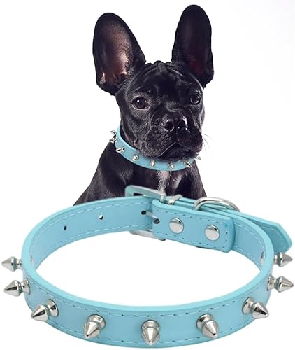 Pimaodog Hundehalsband aus Leder mit Nieten, Pilze, Nieten, Katzenhalsband für kleine, mittelgroße Hunde, Katzen, Welpen, Kätzchen (M, Blau) von Pimaodog