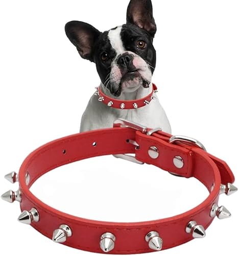 Pimaodog Hundehalsband aus Leder mit Nieten, Pilze, Nieten, Katzenhalsband für kleine, mittelgroße Hunde, Katzen, Welpen, Kätzchen (XS, Rot) von Pimaodog