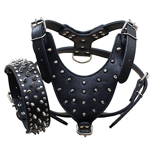 Pimaodog Hundehalsband aus PU-Leder, mit Nieten, passendes Set für mittelgroße und große Hunde, Pit Buller, Mastiff, Boxer, Bullterrier, Schwarz, Größe M, 2-teilig Pimaodog Hundehalsband aus PU-Leder, mit Nieten, passendes Set für mittelgroße und große Hunde, Pit Buller, Mastiff, Boxer, Bullterrier, Schwarz, Größe M, 2-teilig von Pimaodog