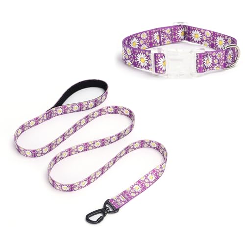 Pimaodog Hundehalsband für Mädchen, mit Gänseblümchen-Muster, niedliches Hundehalsband und Leine, Set für Hündinnen, verstellbar, weich, langlebig, Haustierhalsbänder für Katzen, Welpen, XS, kleine, Pimaodog Hundehalsband für Mädchen, mit Gänseblümchen-Muster, niedliches Hundehalsband und Leine, Set für Hündinnen, verstellbar, weich, langlebig, Haustierhalsbänder für Katzen, Welpen, XS, kleine, von Pimaodog