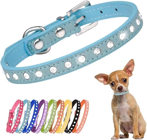 Pimaodog Hundehalsband mit Strasssteinen, Wildleder, Kristall, bunt, glitzernd, für Mädchen, Welpen, Katzen, Größe XS, Größe M, Hellblau Pimaodog Hundehalsband mit Strasssteinen, Wildleder, Kristall, bunt, glitzernd, für Mädchen, Welpen, Katzen, Größe XS, Größe M, Hellblau von Pimaodog