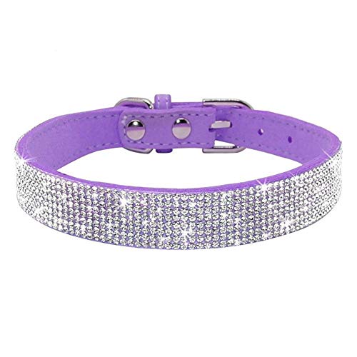 Pimaodog Hundehalsband mit Strasssteinen, niedlich, schillernd, funkelnd, weiches Wildleder, verstellbar, für Hunde und Katzen, mit Kristalldiamanten für Welpen, kleine, mittelgroße und große Hunde (M Pimaodog Hundehalsband mit Strasssteinen, niedlich, schillernd, funkelnd, weiches Wildleder, verstellbar, für Hunde und Katzen, mit Kristalldiamanten für Welpen, kleine, mittelgroße und große Hunde (M von Pimaodog