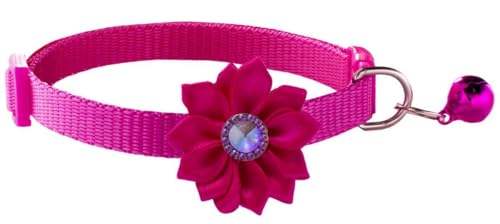 Pimaodog Katzenhalsband mit Glöckchen, Blumendekoration, XS, niedlich, ausgefallenes Welpenhalsband mit Glöckchen, für XXS, XS, kleines Kätzchen, Hündinnen, Halsumfang 17,8 - 30,5 cm, Hot Pink, Pimaodog Katzenhalsband mit Glöckchen, Blumendekoration, XS, niedlich, ausgefallenes Welpenhalsband mit Glöckchen, für XXS, XS, kleines Kätzchen, Hündinnen, Halsumfang 17,8 - 30,5 cm, Hot Pink, von Pimaodog