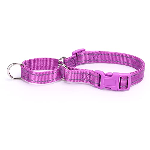 Pimaodog Martingale Hundehalsbänder - Reflektierendes Hundehalsband mit Schnellverschlussschnalle Verstellbares Nylon Training Hundehalsband für Welpen Kleine Mittlere Große Hunde (L, Lila) von Pimaodog