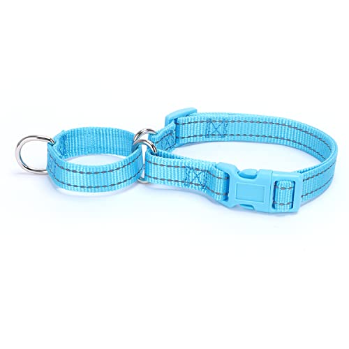 Pimaodog Martingale Hundehalsbänder - Reflektierendes Hundehalsband mit Schnellverschlussschnalle Verstellbares Nylon Training Hundehalsband für Welpen Kleine Mittlere Große Hunde (M, Hellblau) von Pimaodog