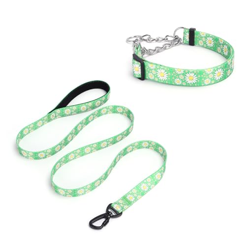 Pimaodog Martingale Hundehalsband, 1,5 m lange Hundeleine, gepolstert, Schlupfhalsband und Leine, Set mit Gänseblümchen-Blumen-Design, Edelstahlkette, modifiziertes Cinch-Halsband (Grün, Größe M) Pimaodog Martingale Hundehalsband, 1,5 m lange Hundeleine, gepolstert, Schlupfhalsband und Leine, Set mit Gänseblümchen-Blumen-Design, Edelstahlkette, modifiziertes Cinch-Halsband (Grün, Größe M) von Pimaodog