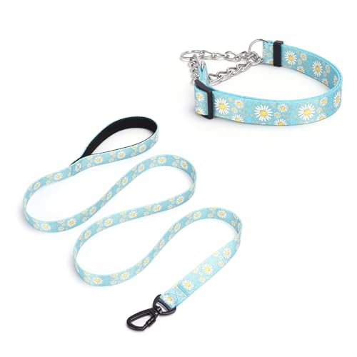 Pimaodog Martingale Hundehalsband, 1,5 m lange Hundeleine, gepolstert, Schlupfhalsband und Leine, Set mit Gänseblümchen-Blumen-Design, Edelstahlkette, modifiziertes Cinch-Halsband (Hellblau, Größe M) Pimaodog Martingale Hundehalsband, 1,5 m lange Hundeleine, gepolstert, Schlupfhalsband und Leine, Set mit Gänseblümchen-Blumen-Design, Edelstahlkette, modifiziertes Cinch-Halsband (Hellblau, Größe M) von Pimaodog