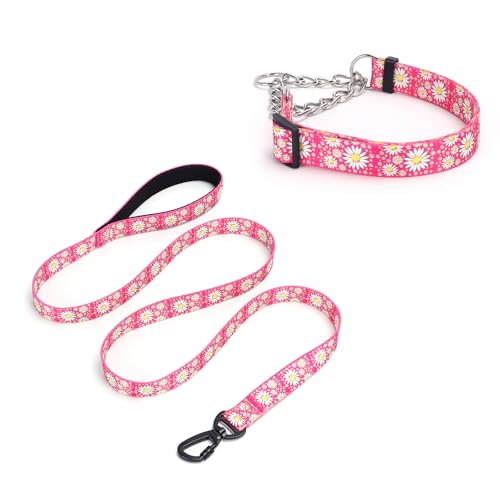 Pimaodog Martingale Hundehalsband, 1,5 m lange Hundeleine, gepolstert, Schlupfhalsband und Leine, Set mit Gänseblümchen-Blumen-Design, Edelstahlkette, modifiziertes Cinch-Halsband (Hot Pink, Größe M) Pimaodog Martingale Hundehalsband, 1,5 m lange Hundeleine, gepolstert, Schlupfhalsband und Leine, Set mit Gänseblümchen-Blumen-Design, Edelstahlkette, modifiziertes Cinch-Halsband (Hot Pink, Größe M) von Pimaodog